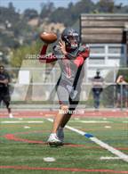 Photo from the gallery "Rancho Cotate @ Redwood"