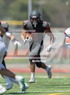 Photo from the gallery "Rancho Cotate @ Redwood"