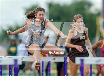 Thumbnail 1 in LHSAA Region 3-5A(Regional Track Meet) photogallery.