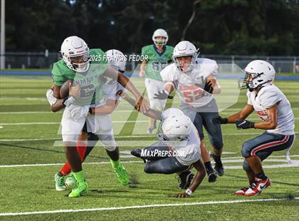 Thumbnail 3 in JV: Bloomingdale @ Sumner photogallery.