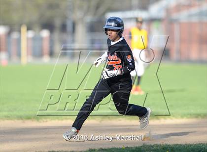 Thumbnail 3 in Bushwick @ Banneker Academy [Benjamin] photogallery.