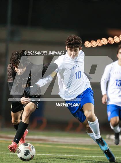 Thumbnail 1 in Crespi vs Westlake photogallery.