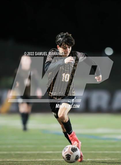 Thumbnail 3 in Crespi vs Westlake photogallery.