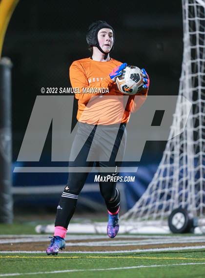 Thumbnail 1 in Crespi vs Westlake photogallery.