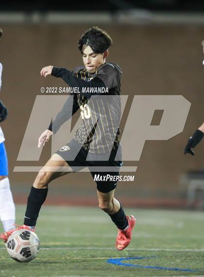 Thumbnail 3 in Crespi vs Westlake photogallery.