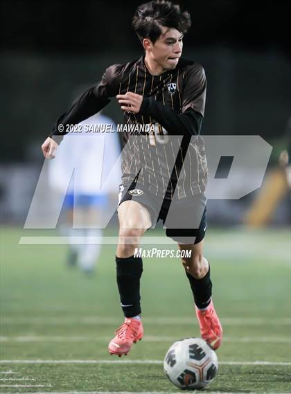 Thumbnail 1 in Crespi vs Westlake photogallery.