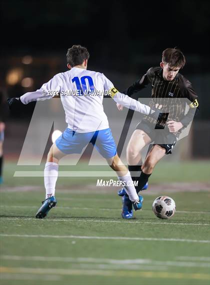 Thumbnail 2 in Crespi vs Westlake photogallery.