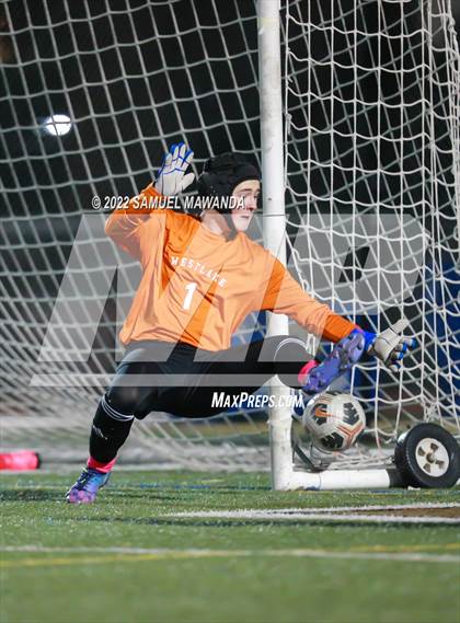 Thumbnail 2 in Crespi vs Westlake photogallery.