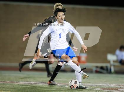 Thumbnail 2 in Crespi vs Westlake photogallery.