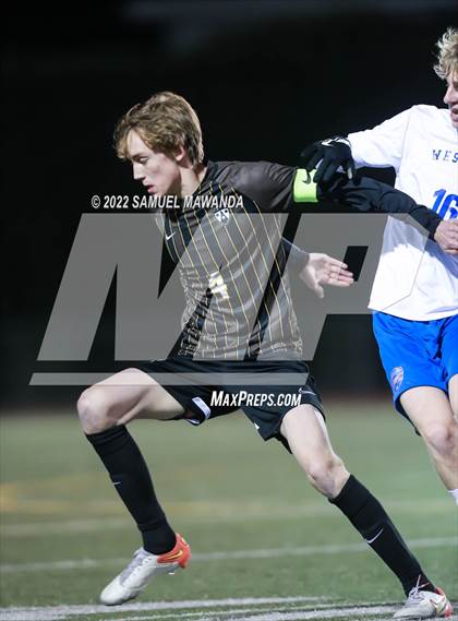 Thumbnail 2 in Crespi vs Westlake photogallery.