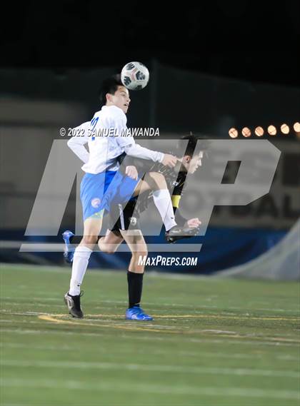Thumbnail 2 in Crespi vs Westlake photogallery.