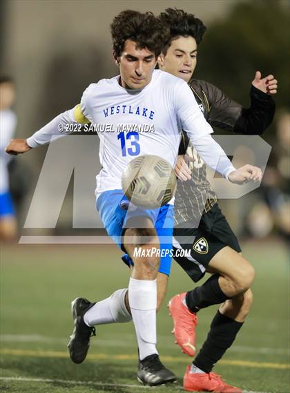 Thumbnail 1 in Crespi vs Westlake photogallery.