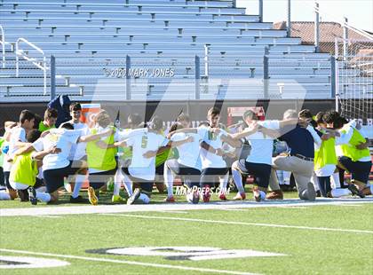 Thumbnail 1 in Yuma Catholic vs. Phoenix Country Day (AIA 3A Semifinal) photogallery.