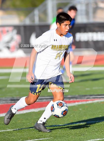 Thumbnail 2 in Yuma Catholic vs. Phoenix Country Day (AIA 3A Semifinal) photogallery.