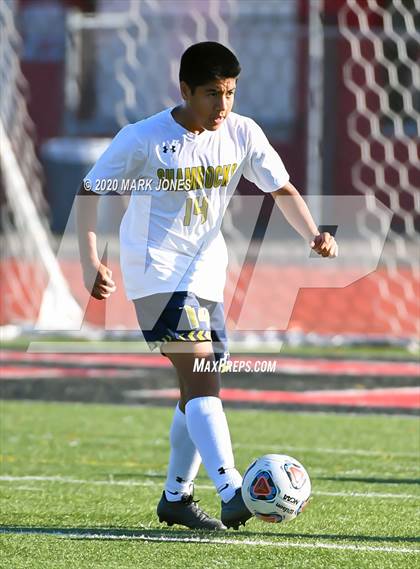 Thumbnail 1 in Yuma Catholic vs. Phoenix Country Day (AIA 3A Semifinal) photogallery.