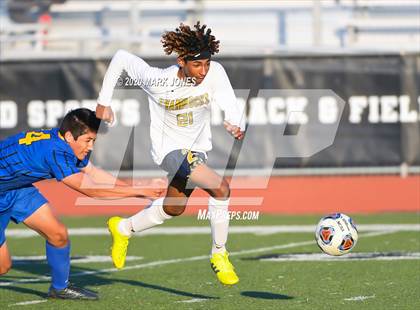 Thumbnail 2 in Yuma Catholic vs. Phoenix Country Day (AIA 3A Semifinal) photogallery.
