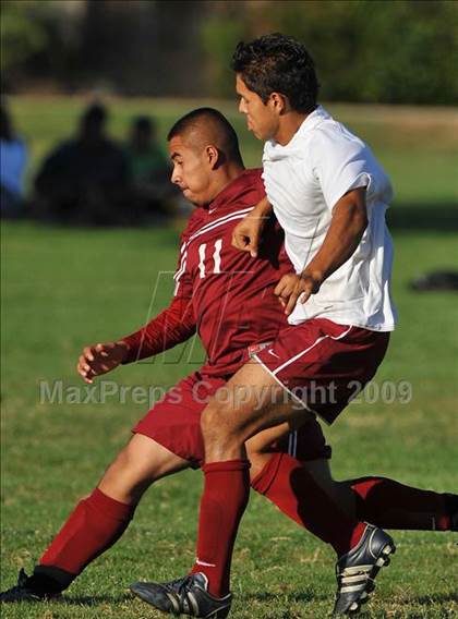 Thumbnail 2 in Johnson @ McClatchy photogallery.