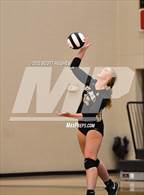 Photo from the gallery "Green Hill @ Mount Juliet"