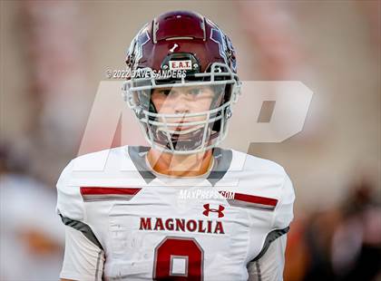 Thumbnail 1 in Terry vs. Magnolia photogallery.