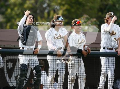 Thumbnail 3 in  Loyola @ Crespi photogallery.