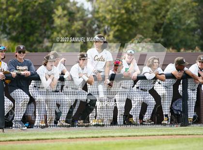 Thumbnail 2 in  Loyola @ Crespi photogallery.