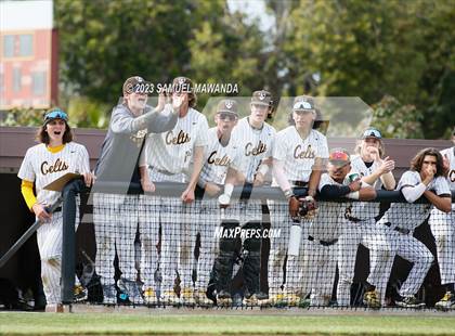 Thumbnail 3 in  Loyola @ Crespi photogallery.