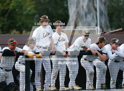 Thumbnail 3 in  Loyola @ Crespi photogallery.
