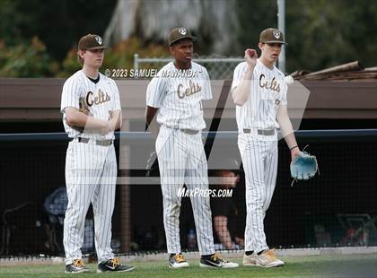 Thumbnail 2 in  Loyola @ Crespi photogallery.