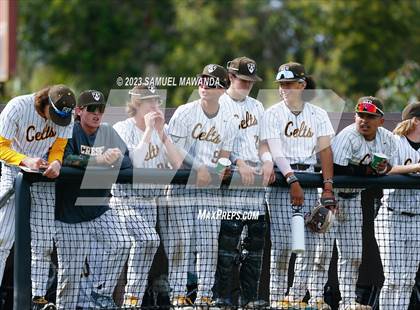 Thumbnail 3 in  Loyola @ Crespi photogallery.