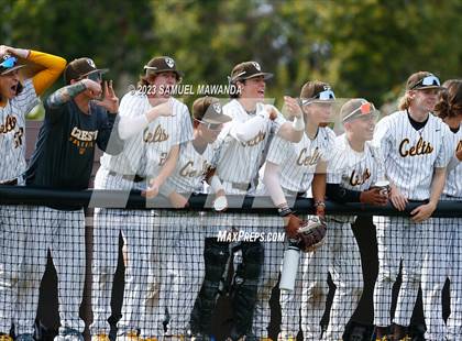 Thumbnail 1 in  Loyola @ Crespi photogallery.