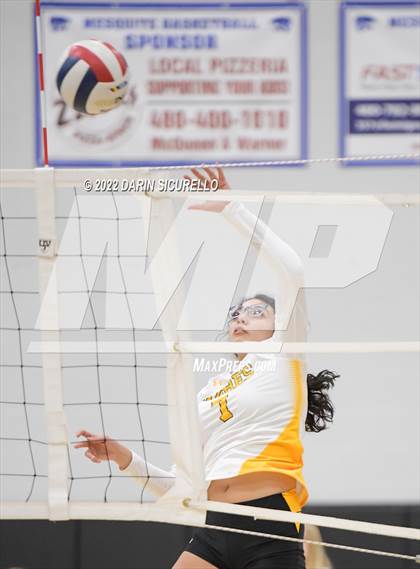 Thumbnail 1 in Marcos de Niza @ Mesquite photogallery.