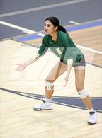 Photo from the gallery "Mountain Vista @ Legend"