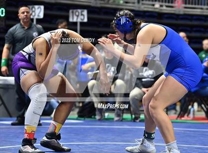 Thumbnail 1 in UIL State Championships - 5A/6A Session 2a photogallery.