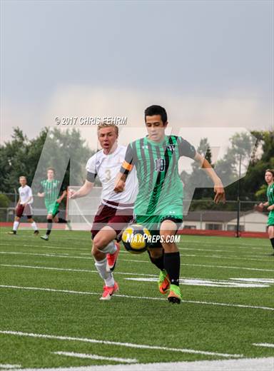 null - Photo 11
