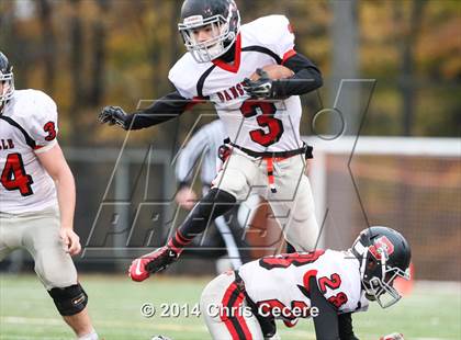 Thumbnail 1 in Dansville vs. Le Roy (Section 5 Class C Semifinal) photogallery.