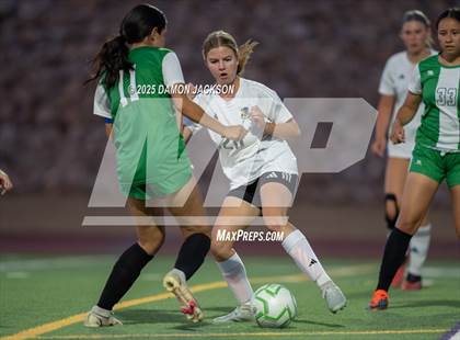 Thumbnail 2 in Moapa Valley @ Virgin Valley photogallery.