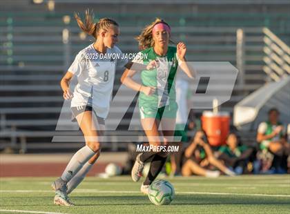 Thumbnail 3 in Moapa Valley @ Virgin Valley photogallery.