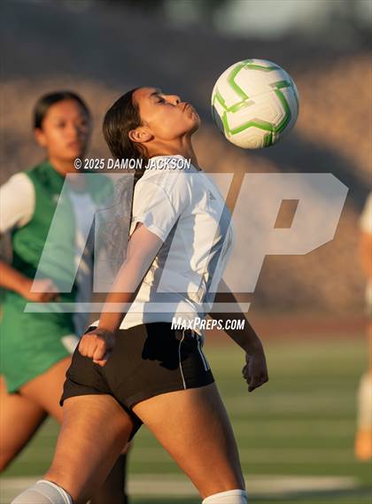 Thumbnail 3 in Moapa Valley @ Virgin Valley photogallery.