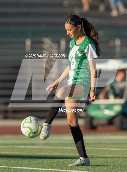 Thumbnail 1 in Moapa Valley @ Virgin Valley photogallery.