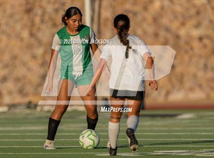 Thumbnail 1 in Moapa Valley @ Virgin Valley photogallery.