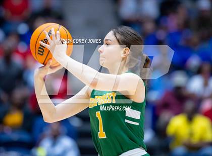 Thumbnail 3 in Greenforest vs Montgomery County (GHSA A Div.2 State Championship) photogallery.