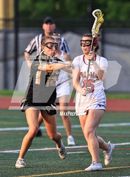 Thumbnail 1 in Honeoye Falls-Lima @ Palmyra-Macedon  (NYSPHAA Section V Class C Final) photogallery.