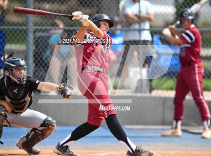 Thumbnail 1 in Chatfield vs. Fort Collins (CHSAA 5A State Quarter Finals) photogallery.