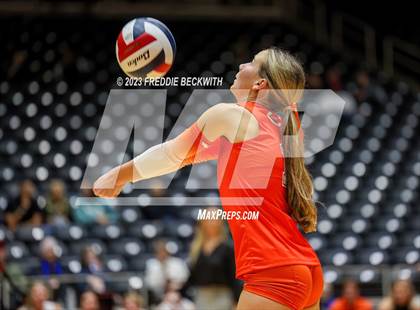 Thumbnail 3 in Davenport vs. Celina (UIL 4A Volleyball Semi-Final) photogallery.