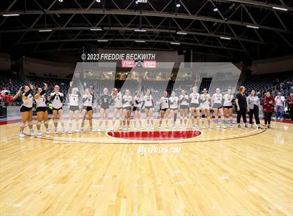 Thumbnail 3 in Davenport vs. Celina (UIL 4A Volleyball Semi-Final) photogallery.