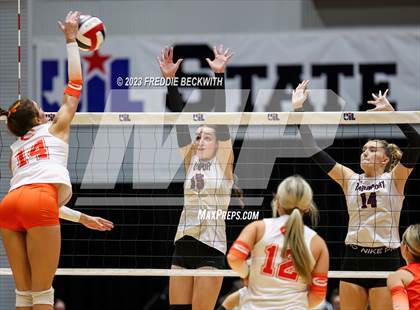 Thumbnail 3 in Davenport vs. Celina (UIL 4A Volleyball Semi-Final) photogallery.