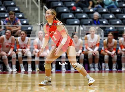 Thumbnail 3 in Davenport vs. Celina (UIL 4A Volleyball Semi-Final) photogallery.