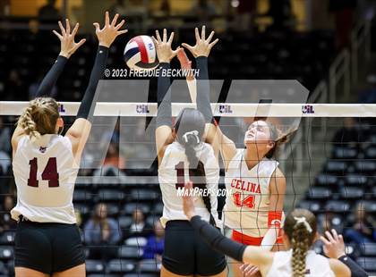 Thumbnail 1 in Davenport vs. Celina (UIL 4A Volleyball Semi-Final) photogallery.