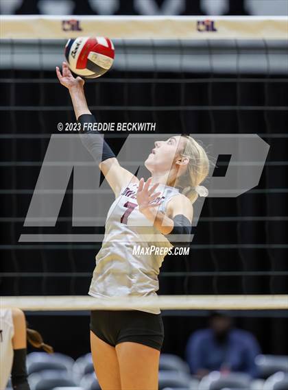 Thumbnail 2 in Davenport vs. Celina (UIL 4A Volleyball Semi-Final) photogallery.