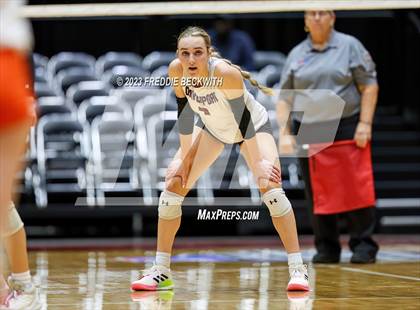 Thumbnail 3 in Davenport vs. Celina (UIL 4A Volleyball Semi-Final) photogallery.